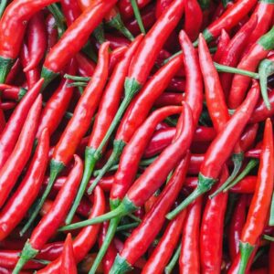 Chilli Pepper