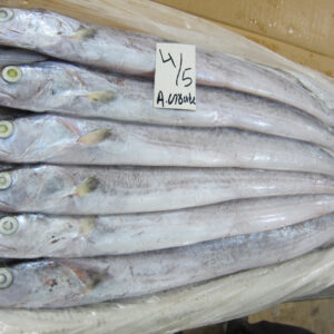 Frozen ribbon fish
