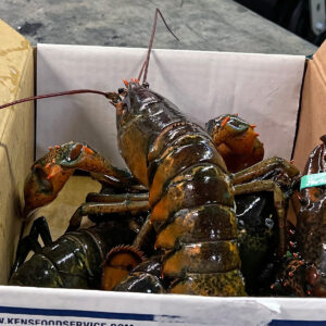 Fresh lobster