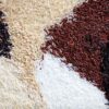 Raw rice types
